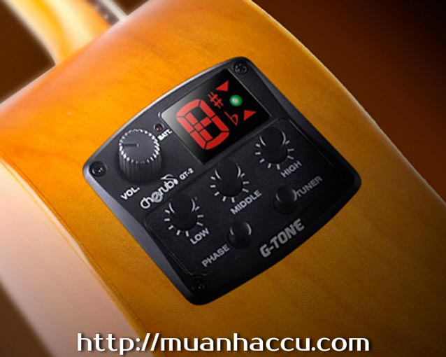 Cherub Guitar Preamps GT-2 - EQ Guitar.jpg